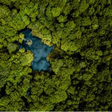 Insight Article Feature